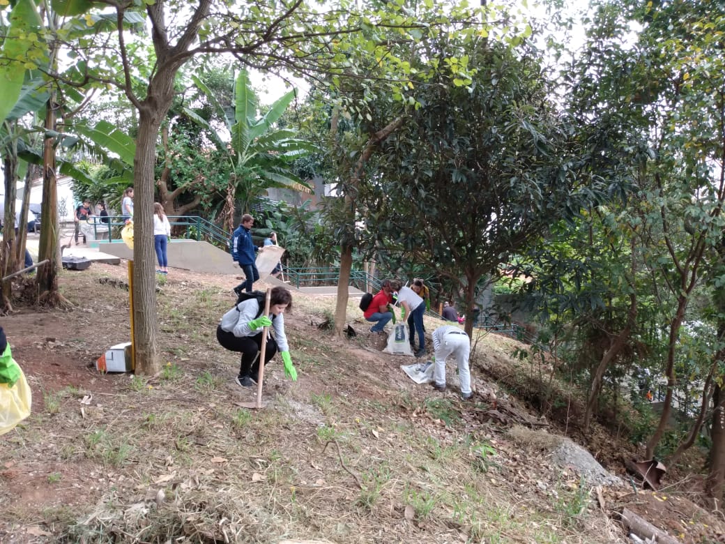 imagem mostra voluntários recolhendo lixo na região